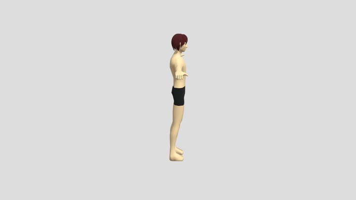 A1 3D Model