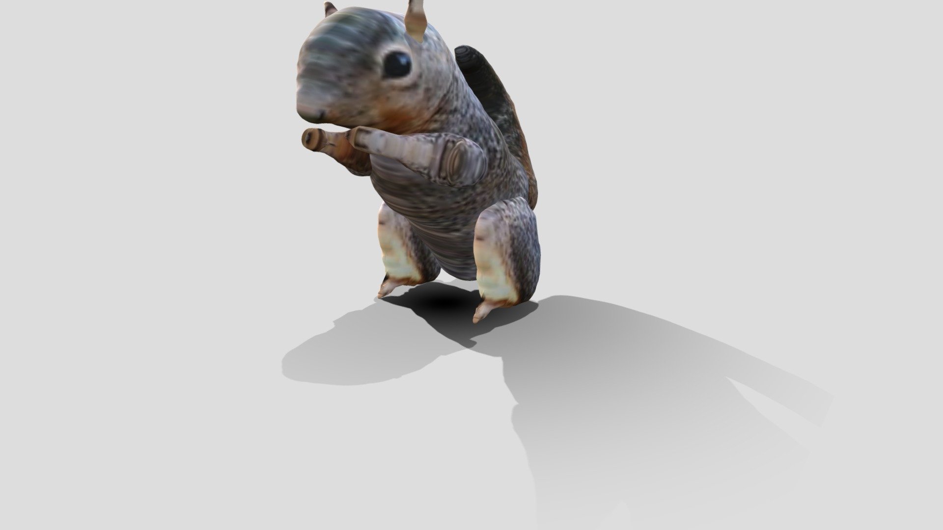 Squirell