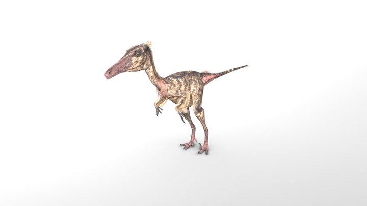 Dinoraul Troodon but it's Velociraptor 3D Model