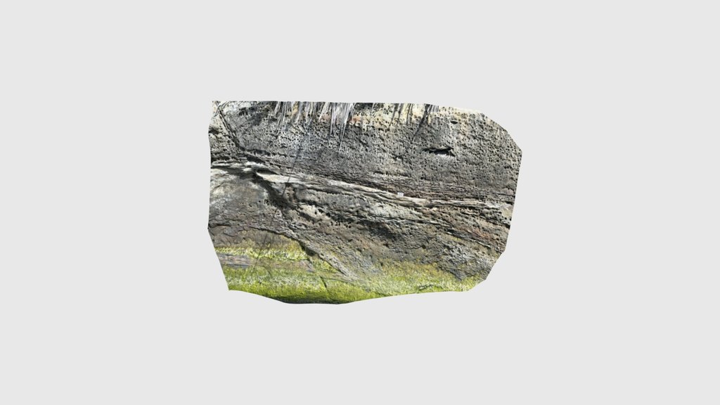 Rapanui 4