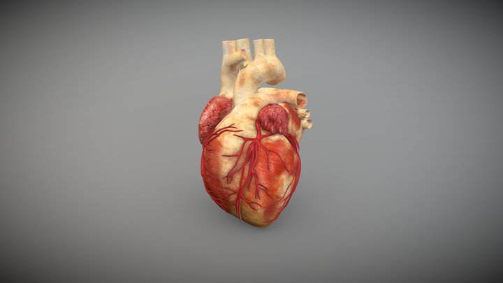 Heart Sketch Fab 3D Model