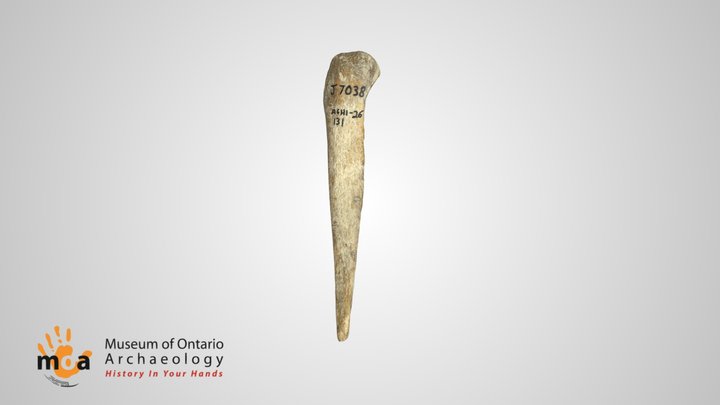 Bone Awl - Sandy Banks Site Object 131 3D Model