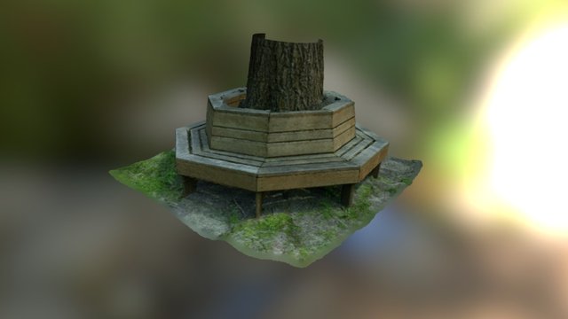 Tree Bench Experiment 3D Model
