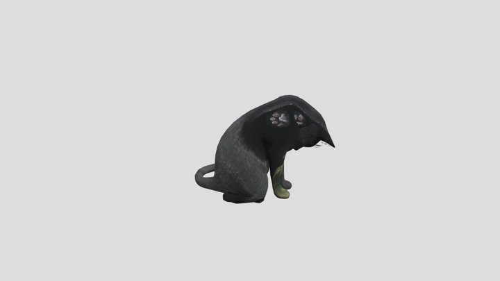Cool animated cat 3D Model