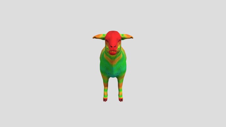 Lamb Anatomical Directions Model 3D Model