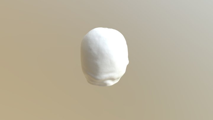 Skull 3D Model