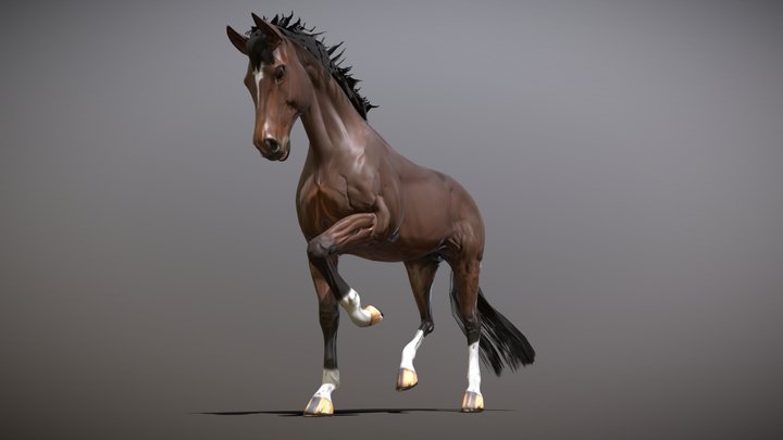 Horse 3D Model