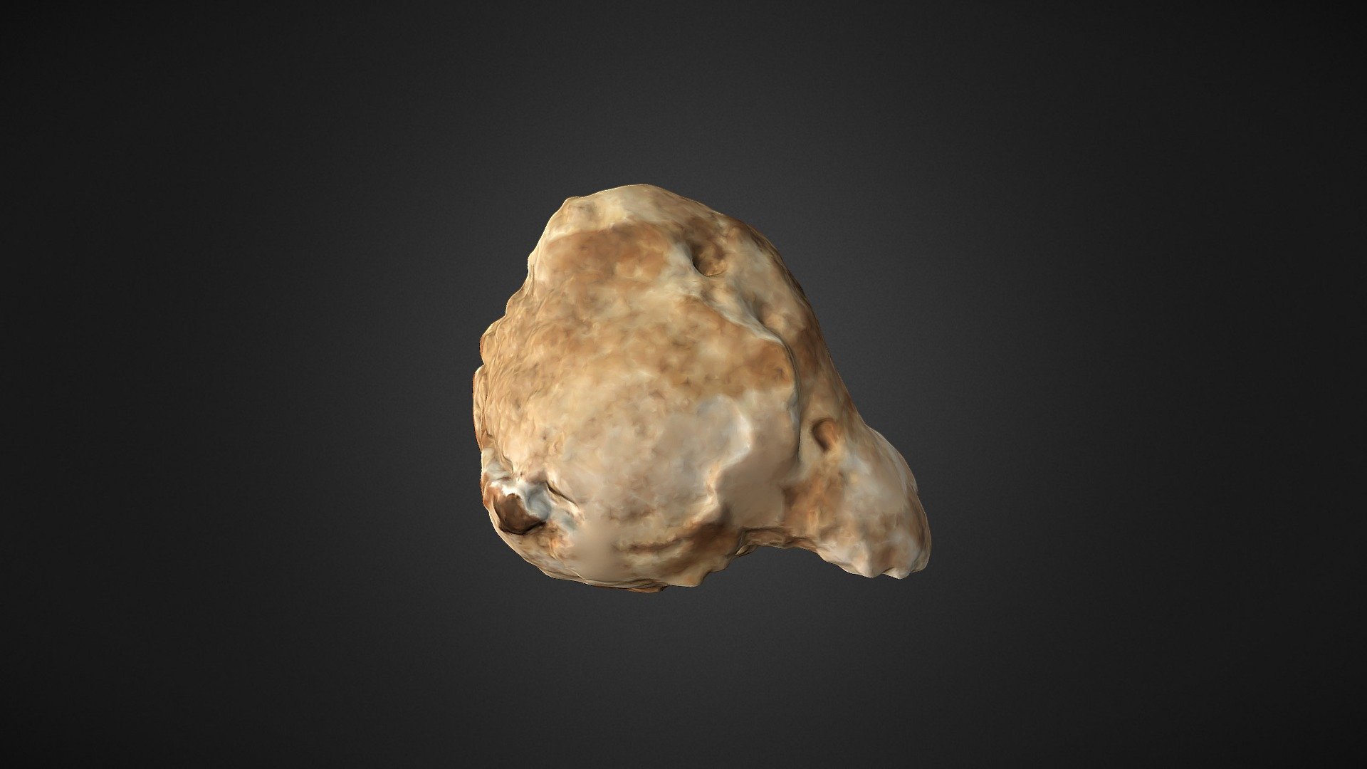 Hueso 5 Vertebra Caudal