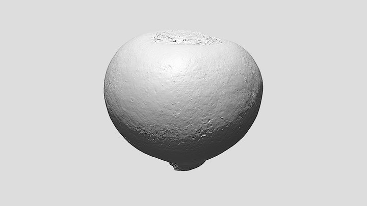 Radish - Ultra-Realistic 3D Print Model 3D Model