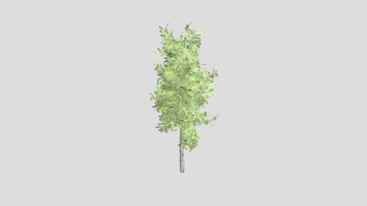 Generated Tree 3D Model