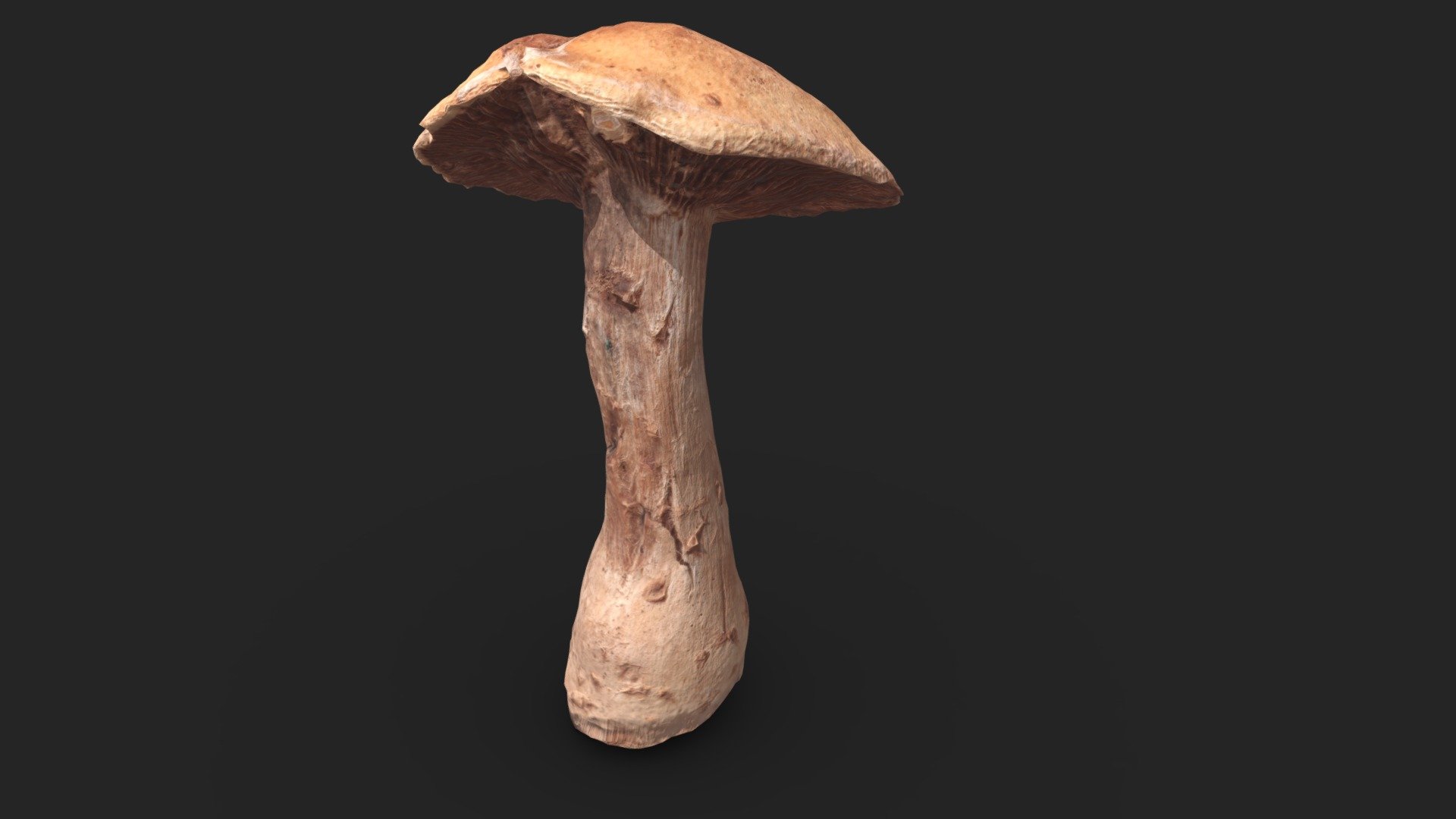 Mushroom