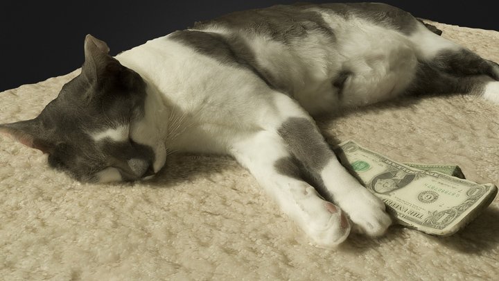 3DST48 - Cash Cat 3D Model