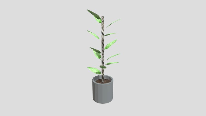 Plant With texure(very bad) 3D Model