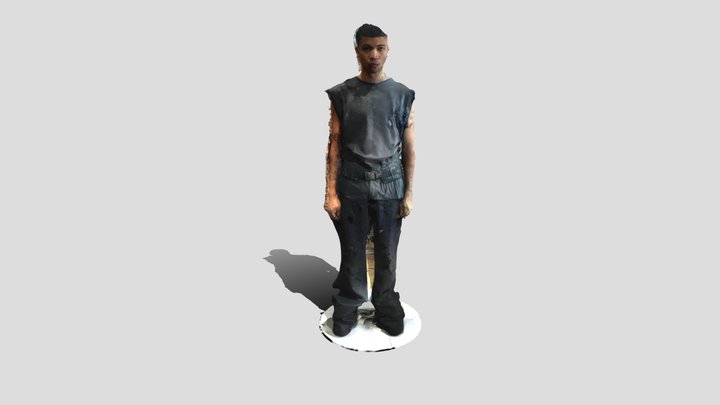 IV 3D Model