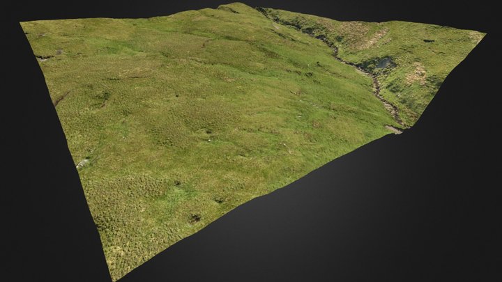 Upland Stream 3D Model