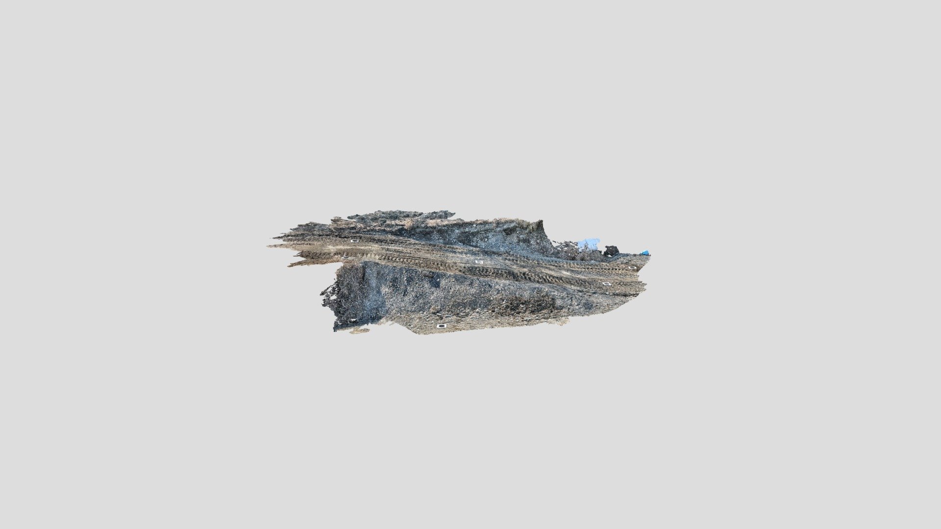 Forge point cloud