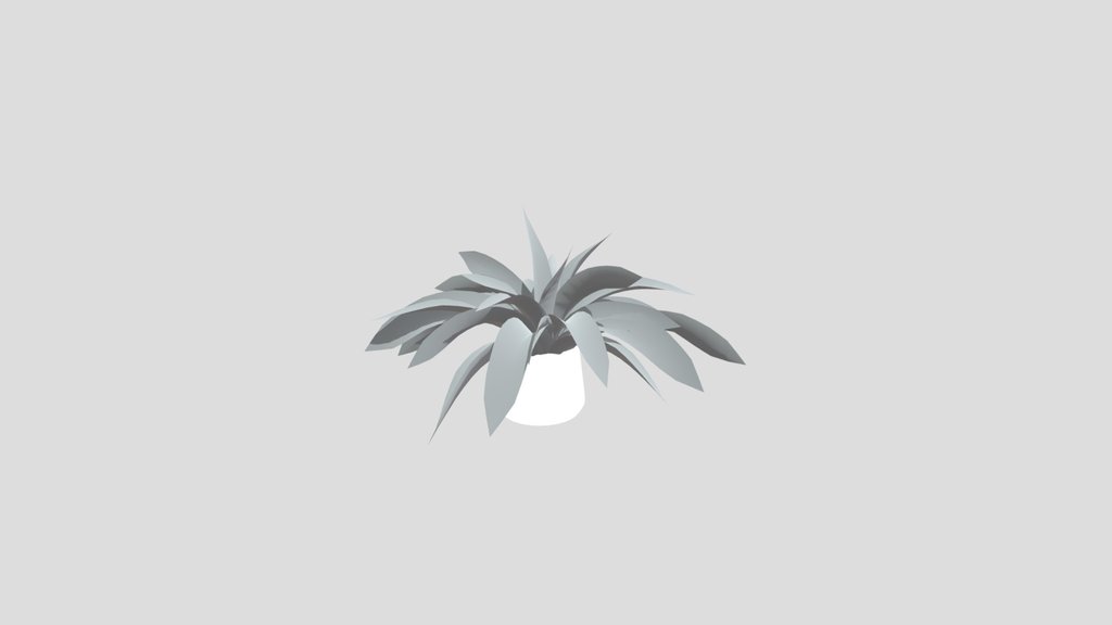 Tropical Fern Sml Potted