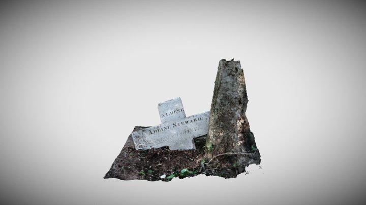 Adline Steward 3D Model