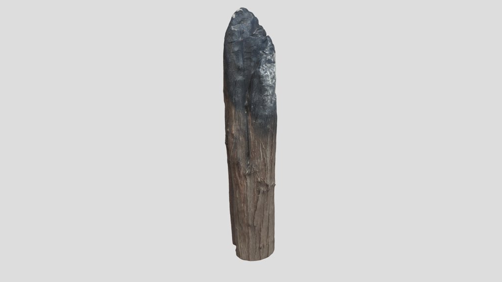 Burned Trunk Scan