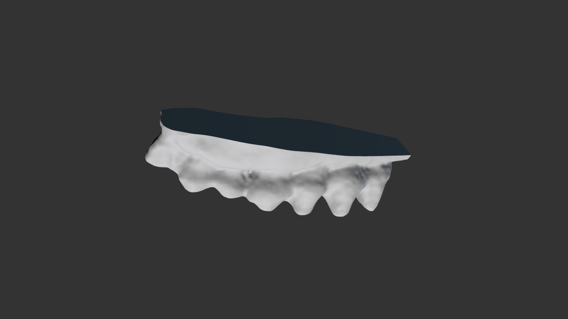 Mammut pacificus Upper Left Teeth
