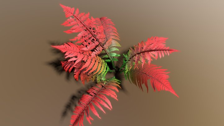 Realistic Beech Fern Plant | Games | Film 3D Model