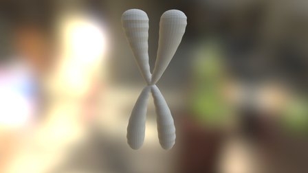 Cromossomo 3D Model