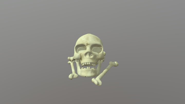 NAND1360 - TP2 - Bone Pile - Malika Miller 3D Model