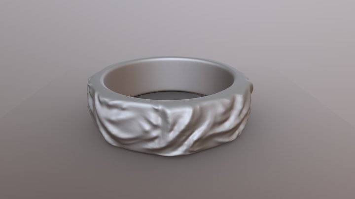 Pleated Ring 3D Model