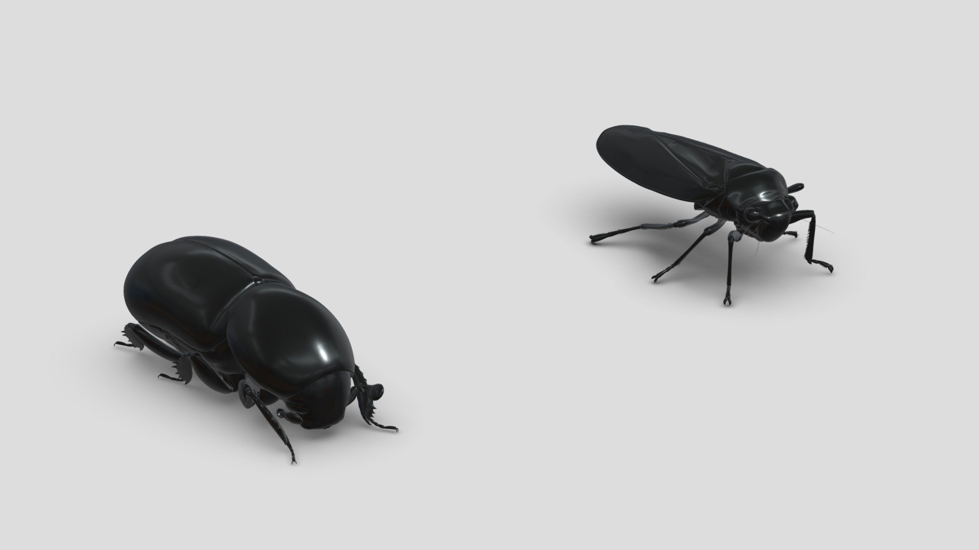 Insects&beetles-pack8