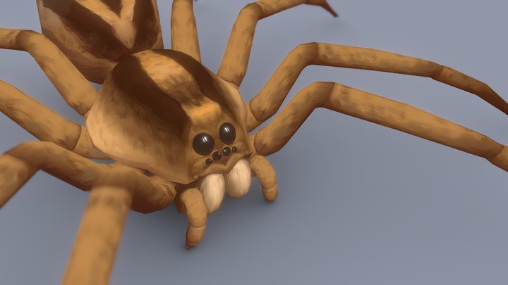 Garden wolf low poly spider 3D Model