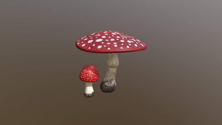 Setitas 3D Model