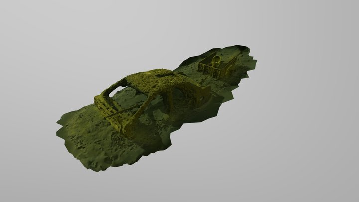 Car Wreck Low Res 3D Model