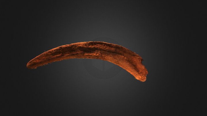 Therizinosaurus cheloniformis 3D Model