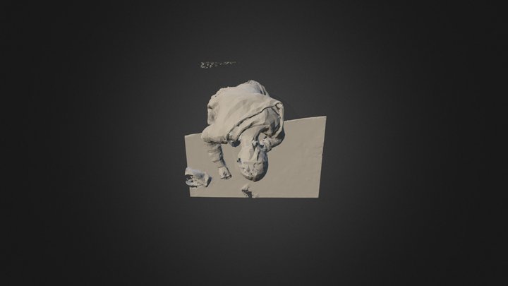 Model 3D Model