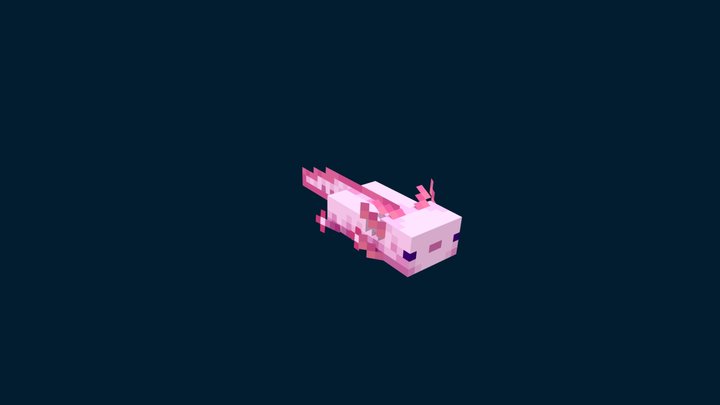 Minecraft Axolotl 3D Model