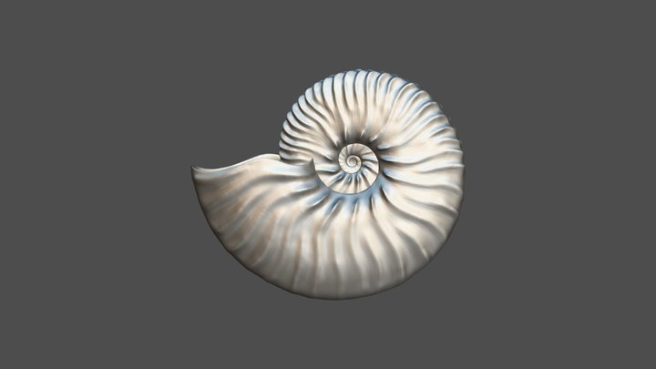 Anahoplites planus (Mantell, 1822) 3D Model