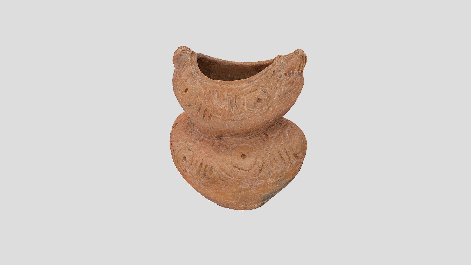 YPM ANT.237537