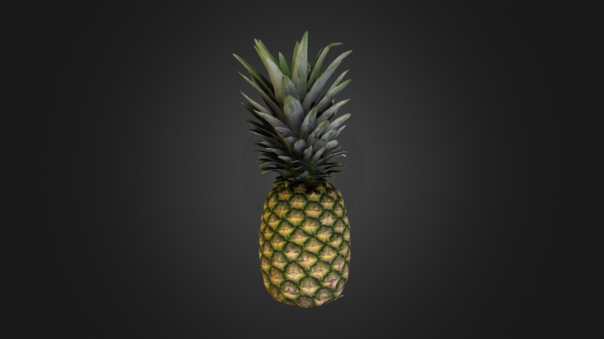 3D model Pineapple (Ananas) - This is a 3D model of the Pineapple (Ananas). The 3D model is about a pineapple with a black background.
