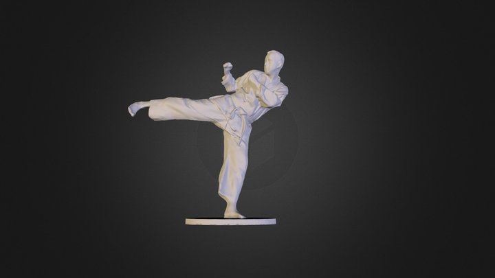 3D Scan Karate Fighter 3D Model