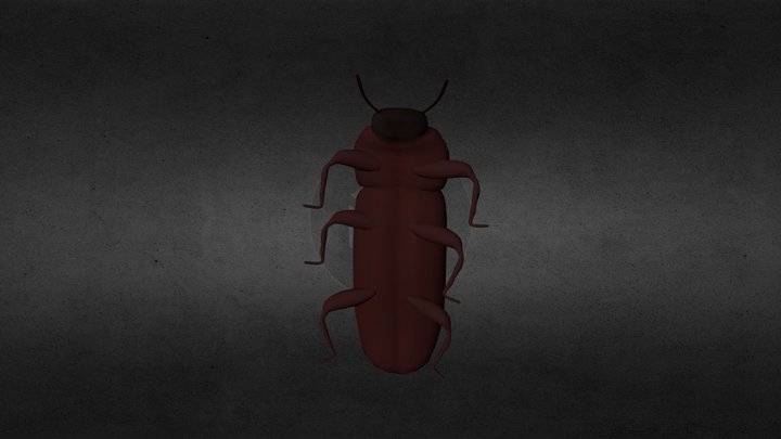 Darkling Beetle 3D Model