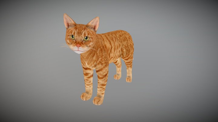 ANIMATED CAT 3D Model
