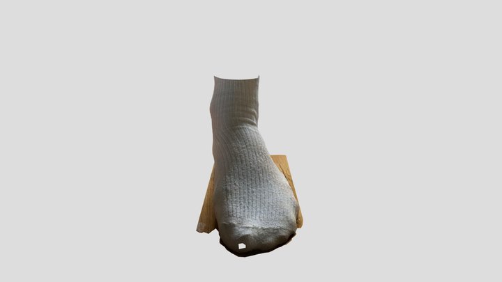 Polycam capture 3D Model