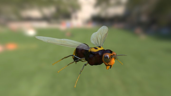Hornet 3D Model