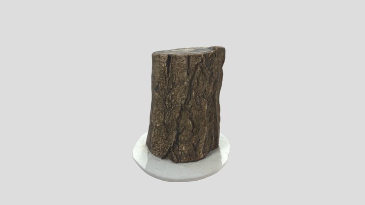 Environment - Tree Stump 3D Model