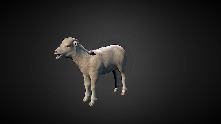 La oveja perdida/The lost sheep 3D Model