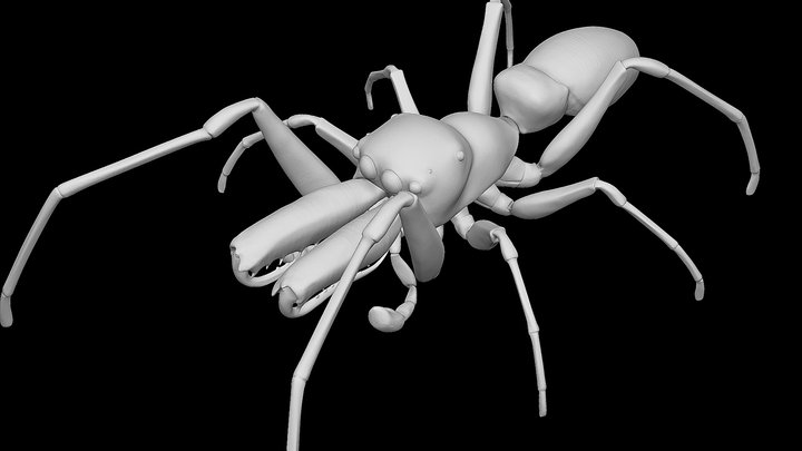 Myrmarachne – Kostenloses 3D-Modell STL