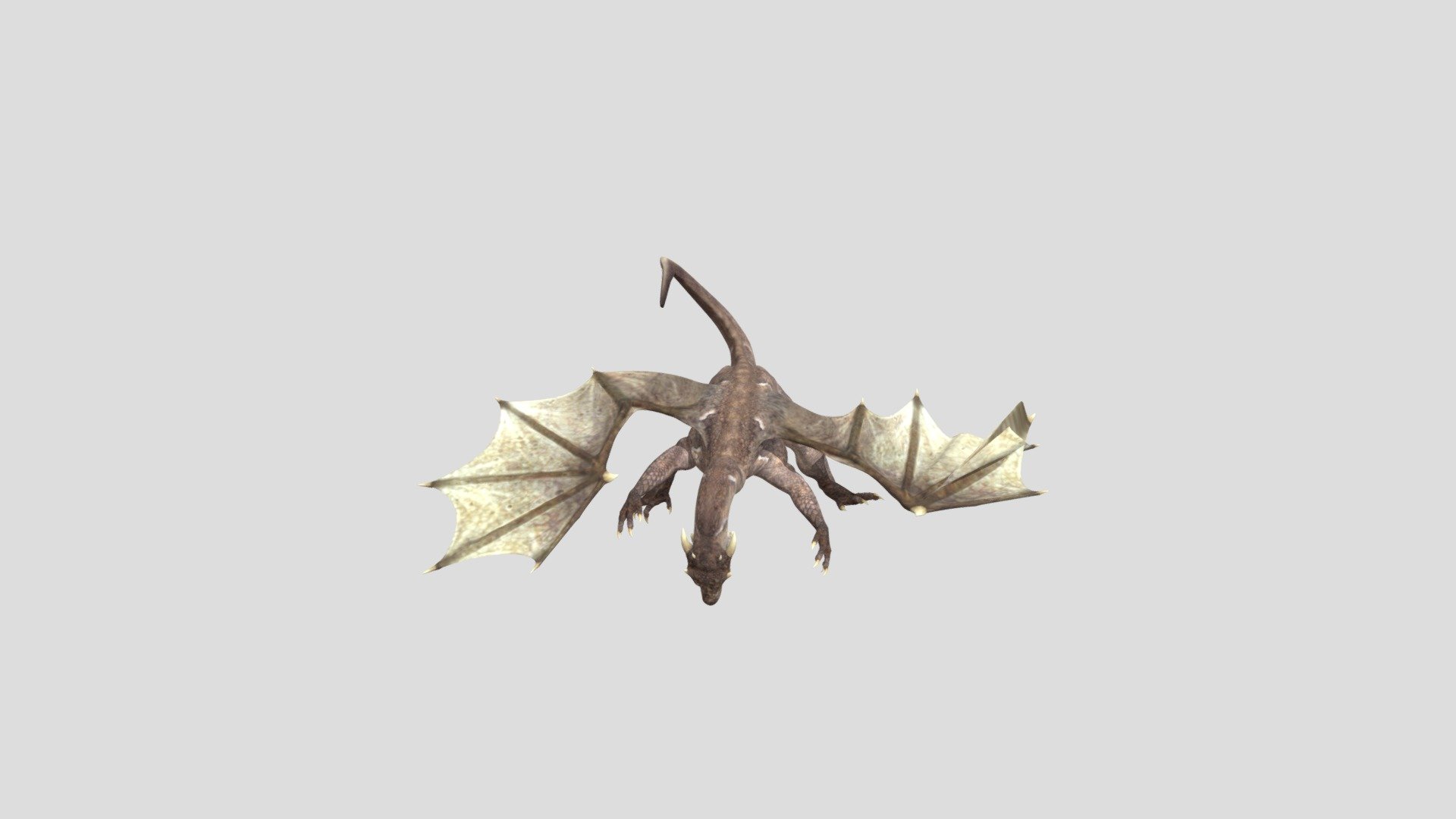HS Dragon