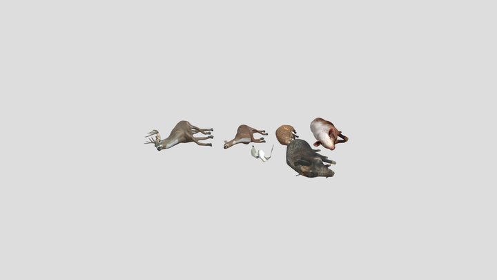 Dead animals set 3D Model