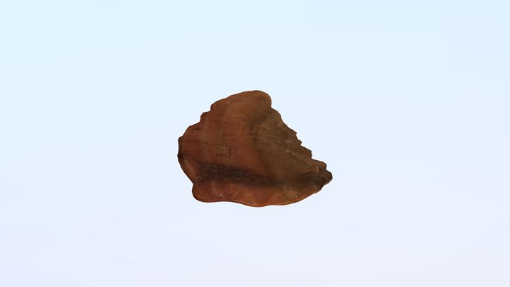 Projectile Point 3D Model