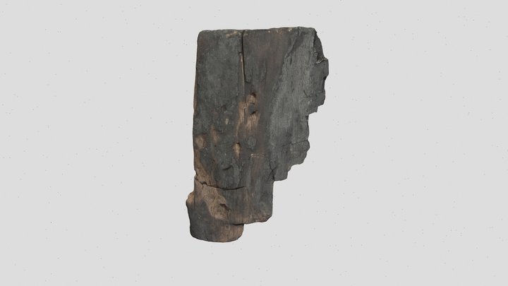 WD5651 SF3679 Must Farm Container Fragment